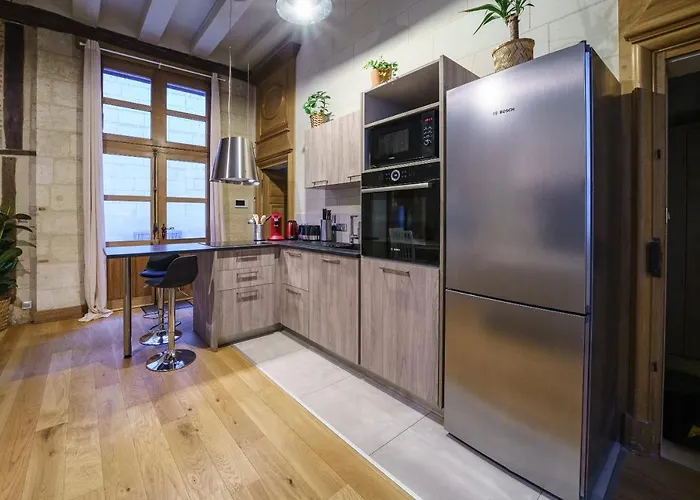 Apartment La Cour Du Grand Marche Tours